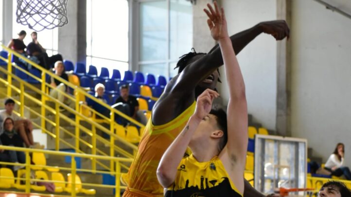 Jugadores en acción durante un encuentro de la cantera del Club Baloncesto Gran Canaria.