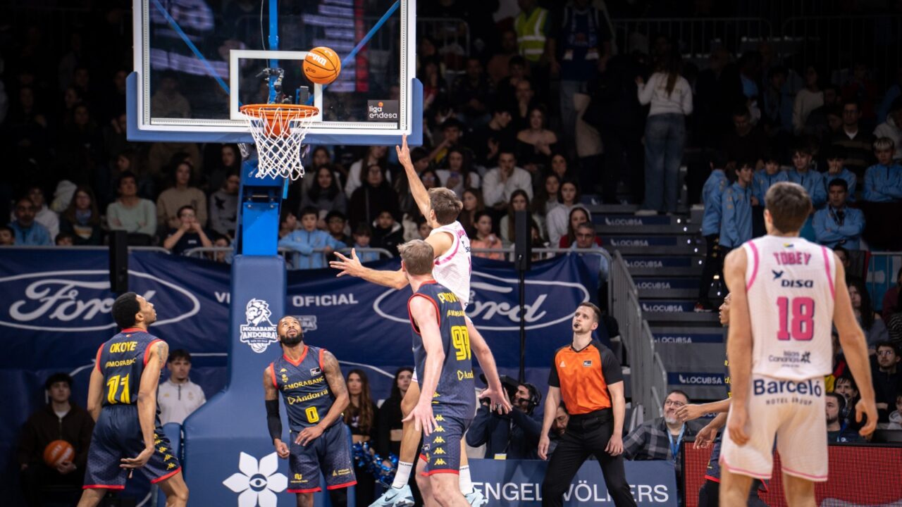  WhatsApp Image 2026-01-31 at 18.20.50